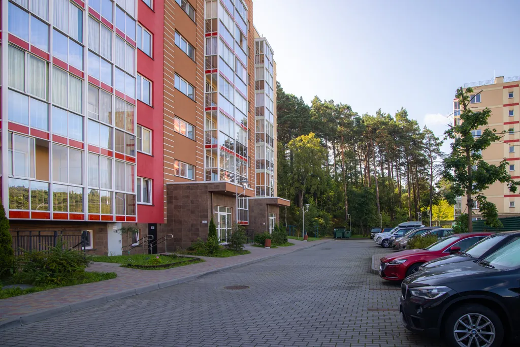 Студия с видом на сосновый лес