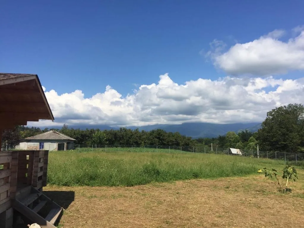 Эко-домик в предгорье