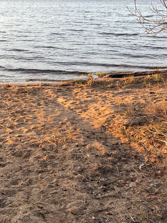 Дом в Лесном на берегу