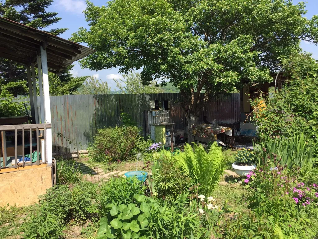 Дача бюджетная