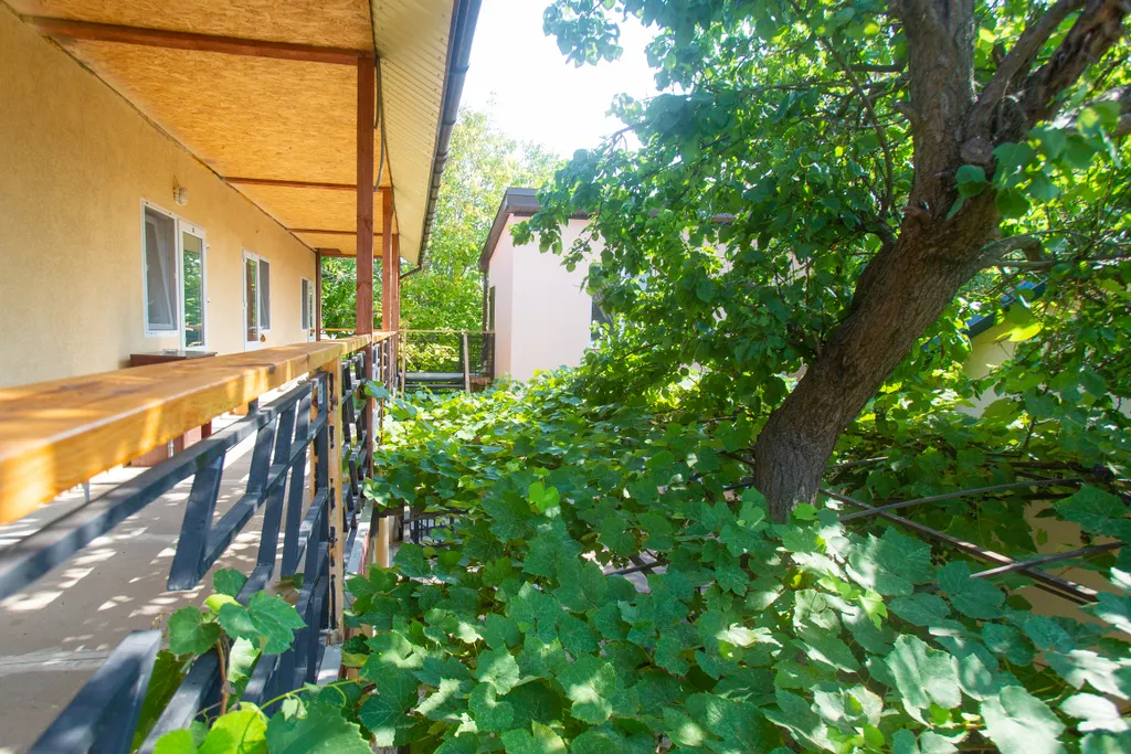 Уютный трёхместный номер