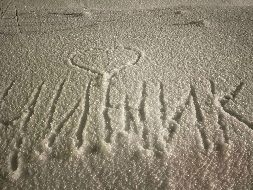 Коттедж Уютный дом у озера — Волосово