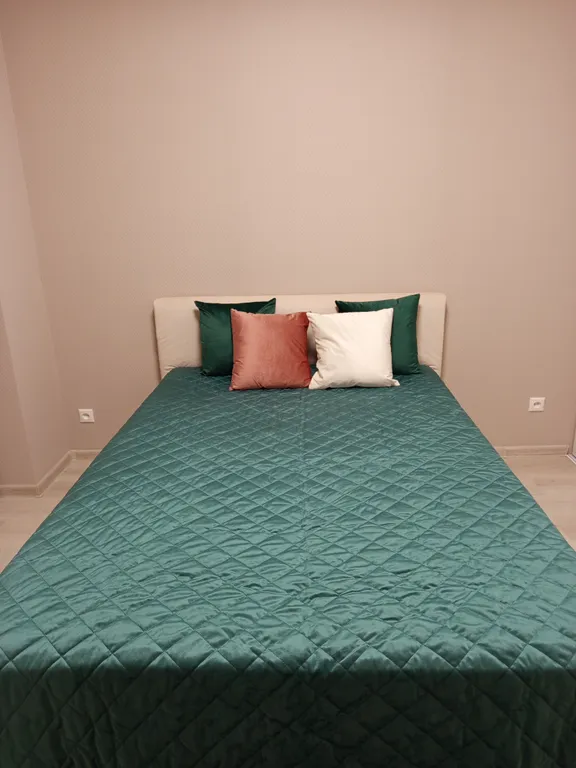 Уютная евродвушка с посудомоечной машиной, в географическом центре города