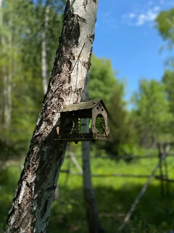 Уютный дом в лесу