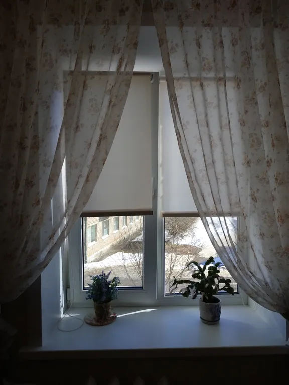 Philisa прованс