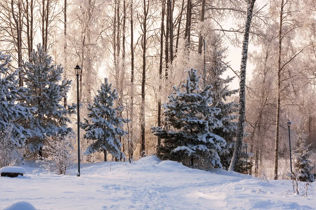 Коттедж Комфортабельный коттедж с сауной — Беличье