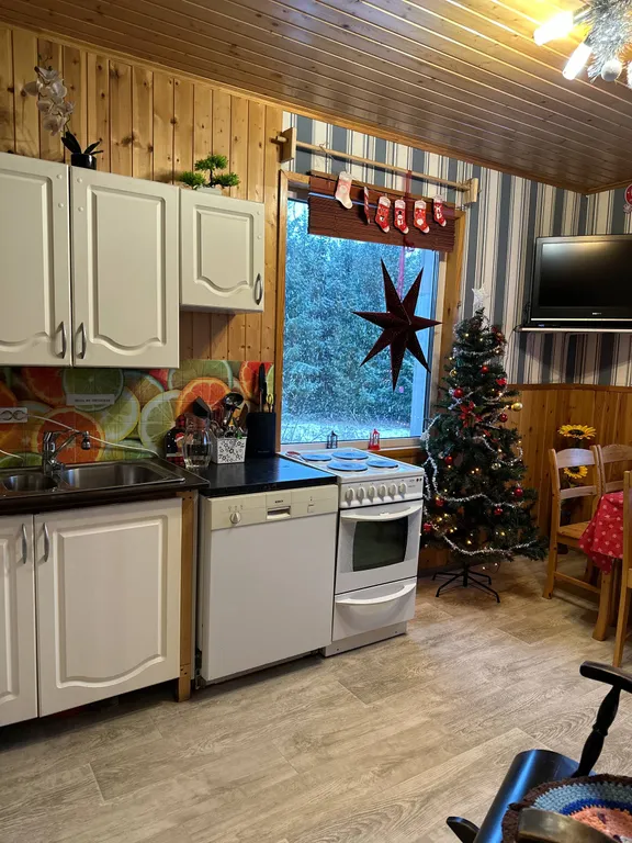 Дом в Карелии с печью-камином и видом на лес