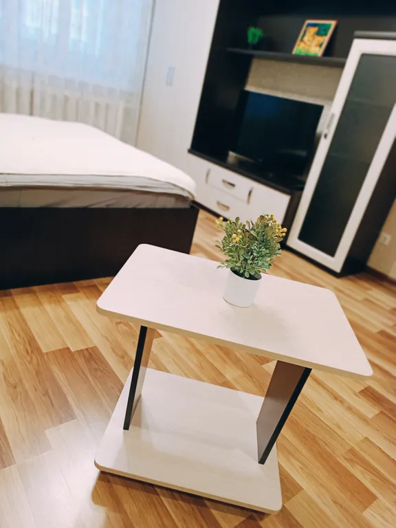 Большая, уютная квартира в лучшем районе города