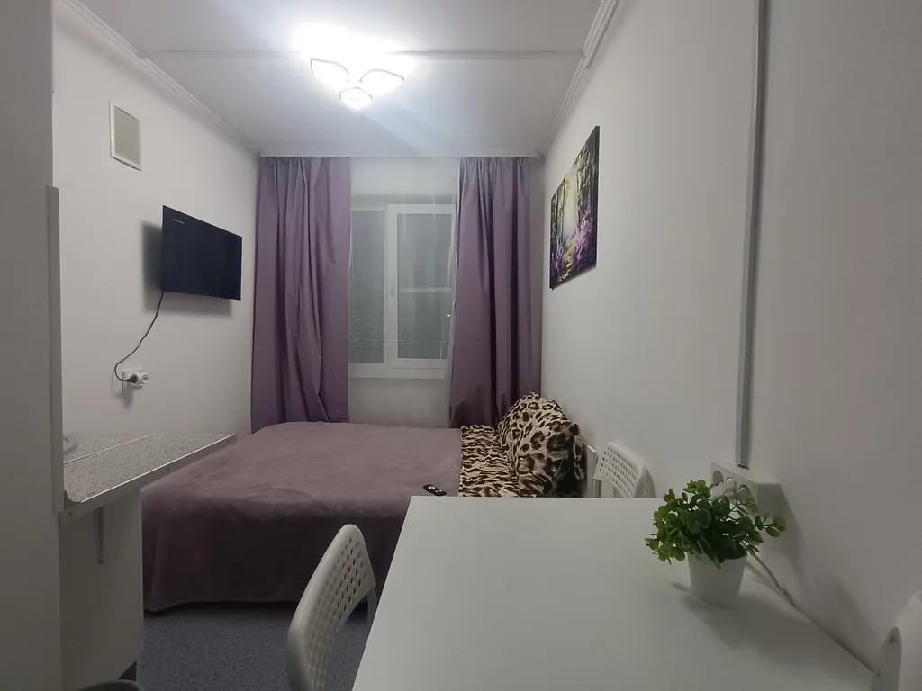 Одна из четырёх в квартире мини- студия сирень