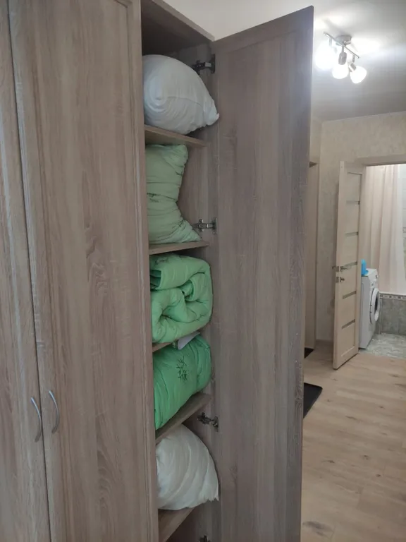 Квартира Просторная квартира со всеми удобствами — Дубна