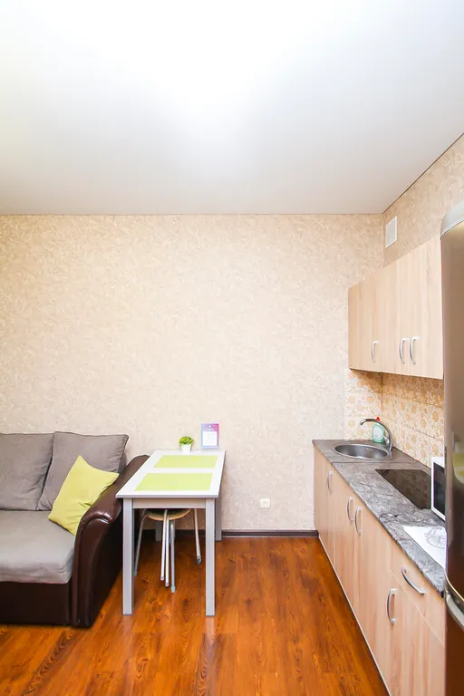 Квартира студия рядом с ТРЦ Аура (эконом)