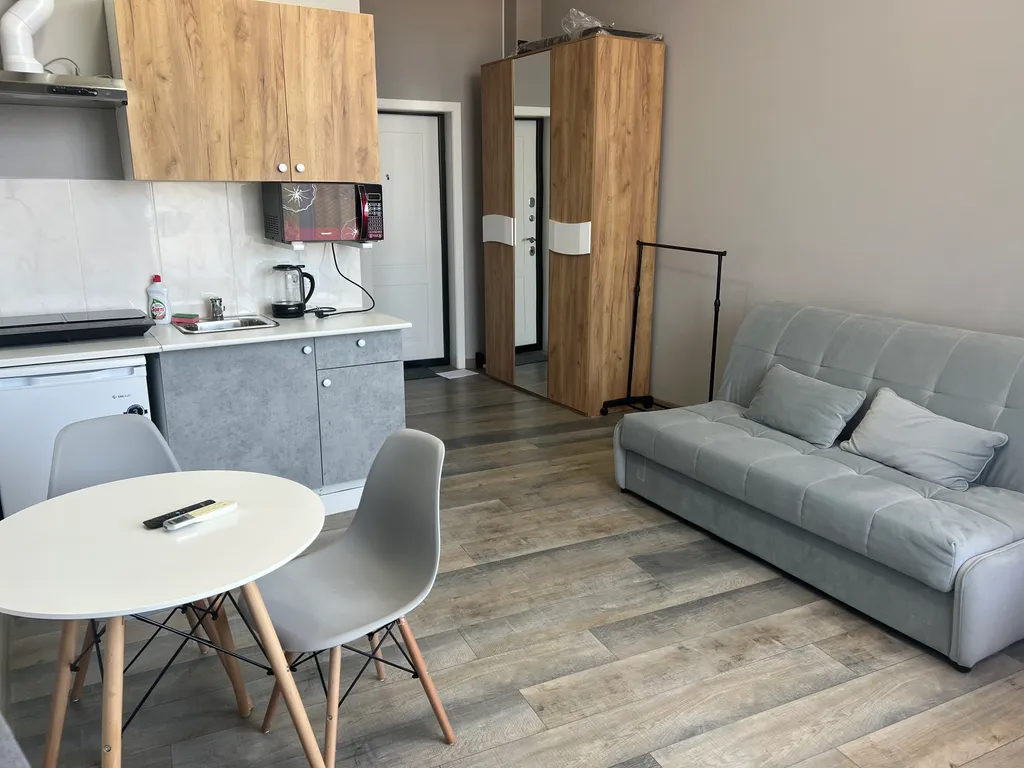 Квартира Квартира Небольшая уютна студия 94 — Сириус