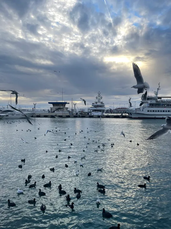 Супер видовая квартира в элитном доме с новым дизайнерским ремонтом