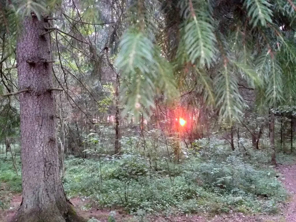 Квартира Двухкомнатная чудная квартира — Светлогорск