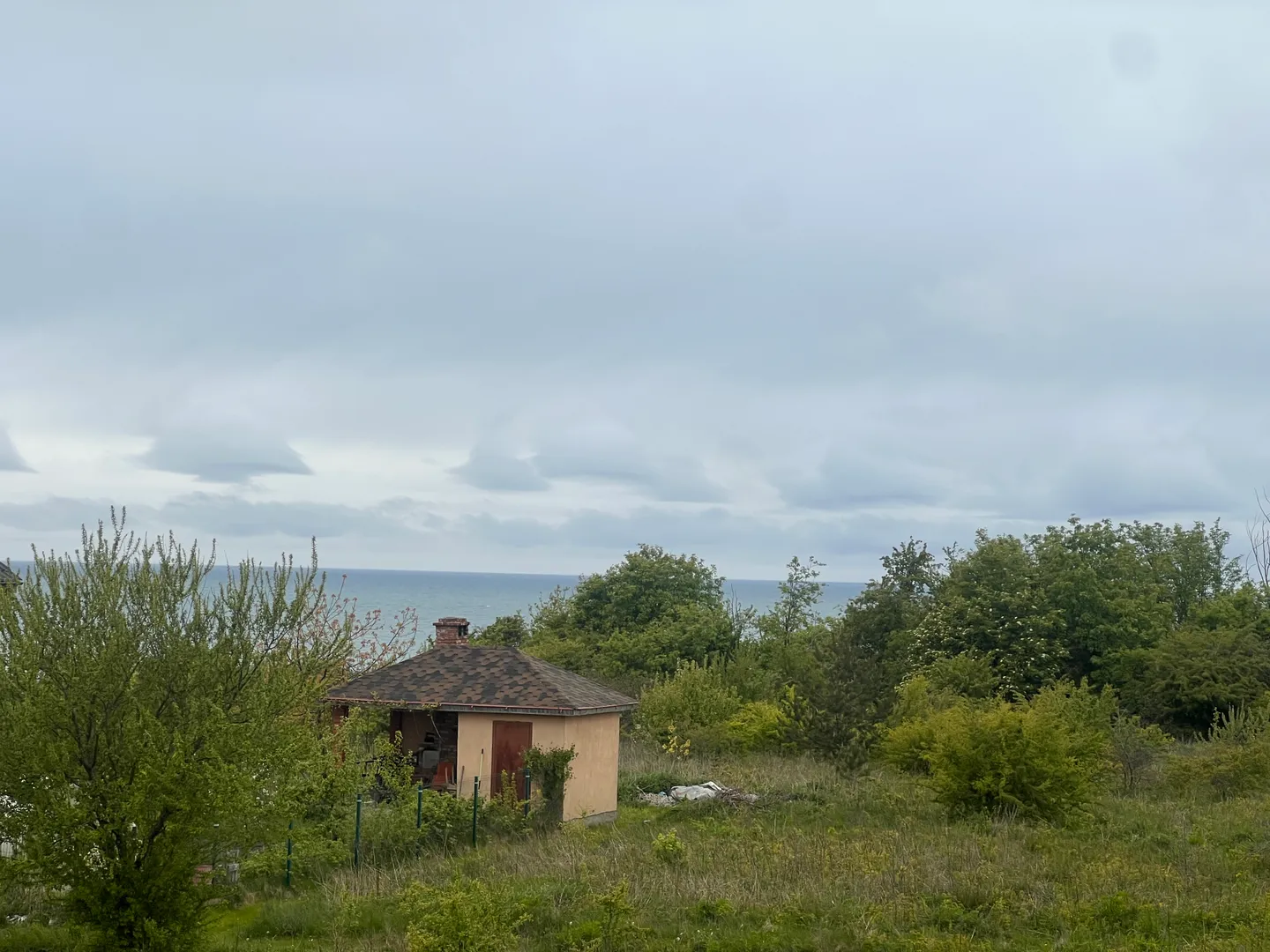вид с террасы 