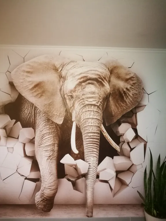 Квартира Квартира Большие тропики с камином, с видом на остров Канта и Рыбную деревню — Калининград