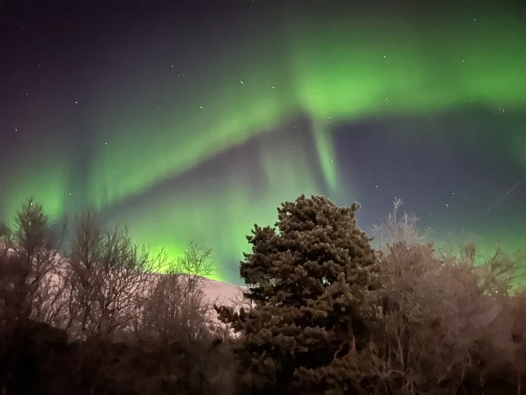 Уютная квартира на Олимпийской