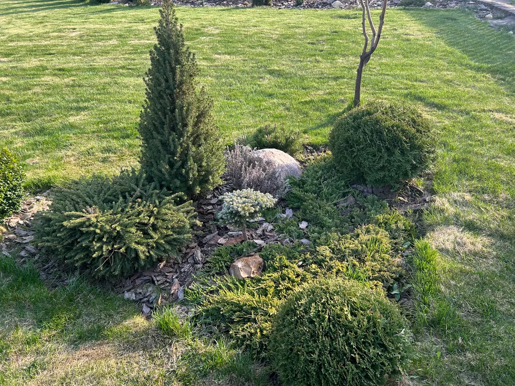 Дом с баней и камином в заповеднике