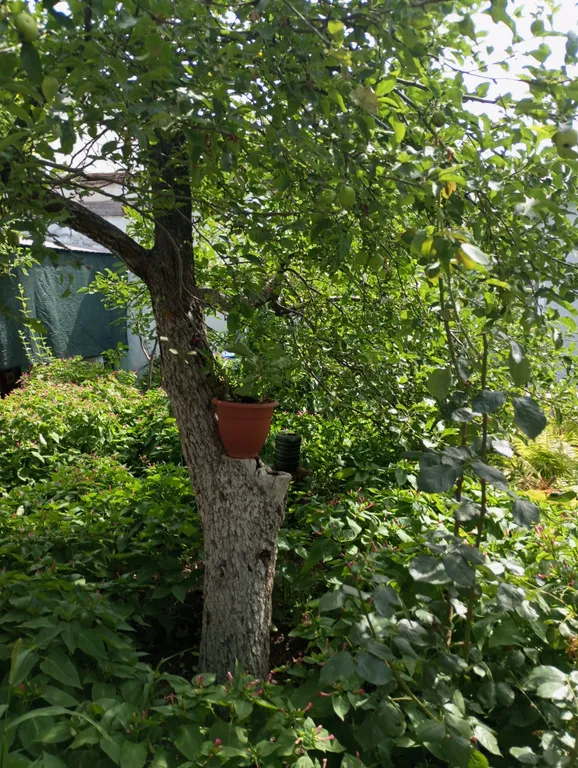 Номер для двоих