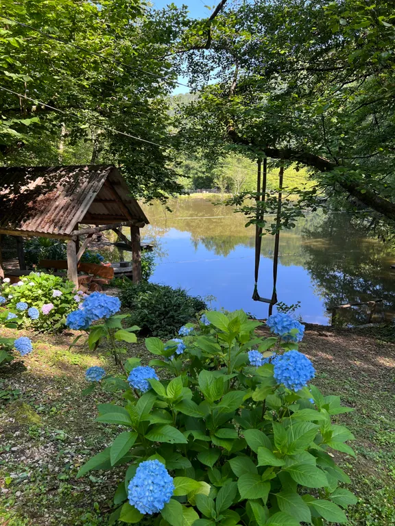 Дом для большой компании