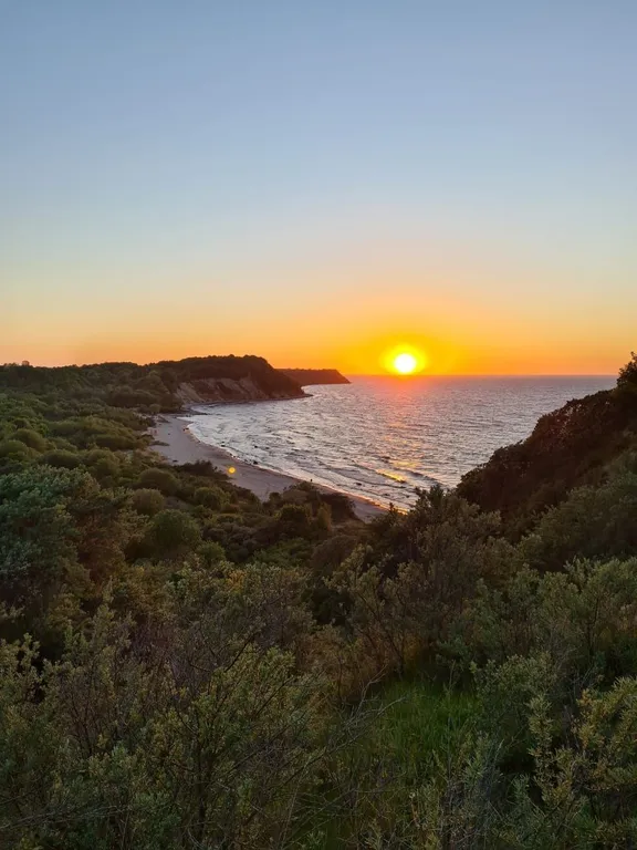 Коттедж Уютный гостевой дом — Лесное