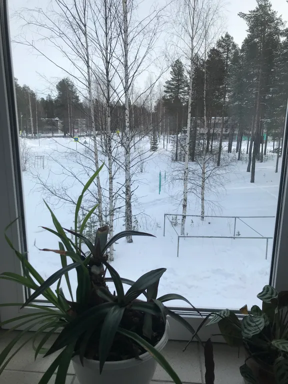 Квартира Комната — Калевала