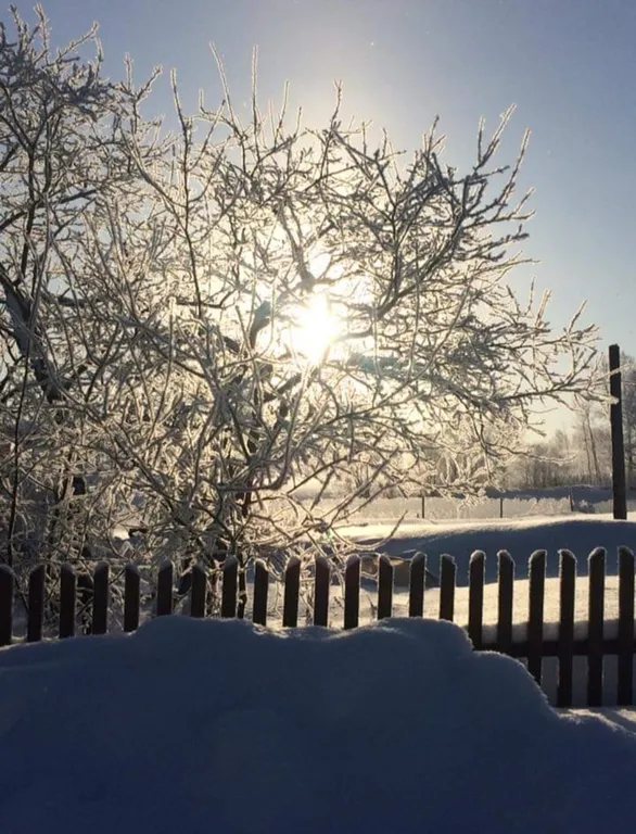 Дом у озера Мстижа