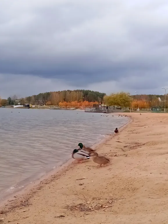 Dolce Vita апартаменты у озера с камином в 15 минутах от центра на автомобиле