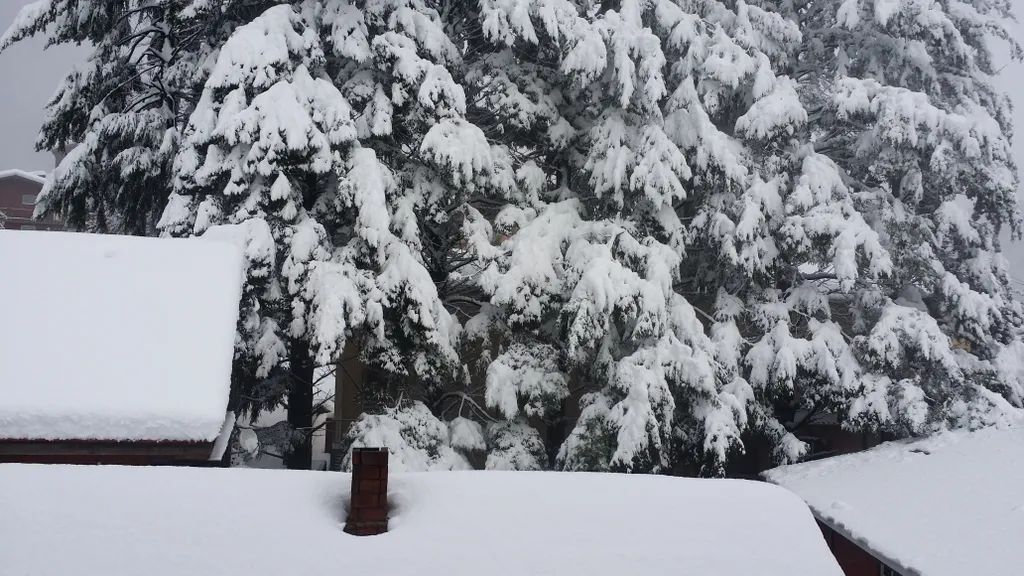 Семейный апартамент Санапарт на 4 места