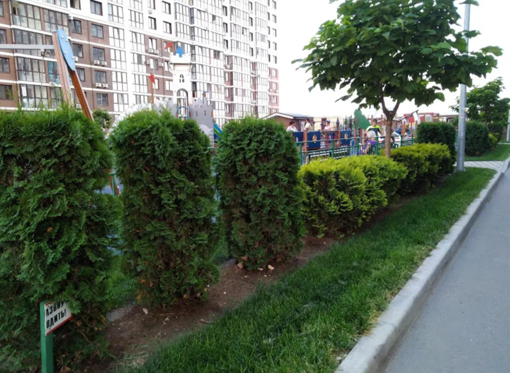 Большая уютная студия