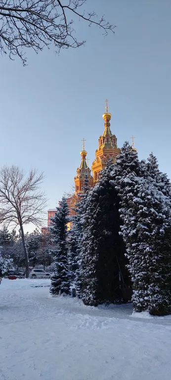 Большая квартира на Ольгином пруду.