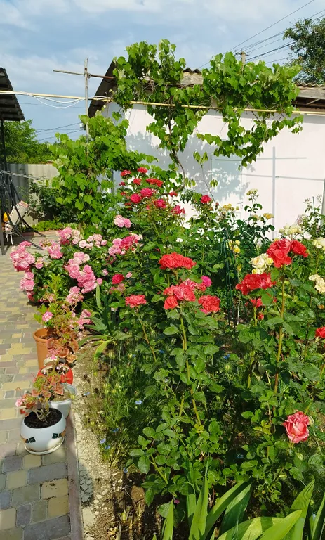 Дом на берегу Черного моря