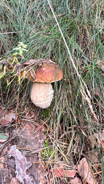 Квартира Квартира комфорт класса — Приморск