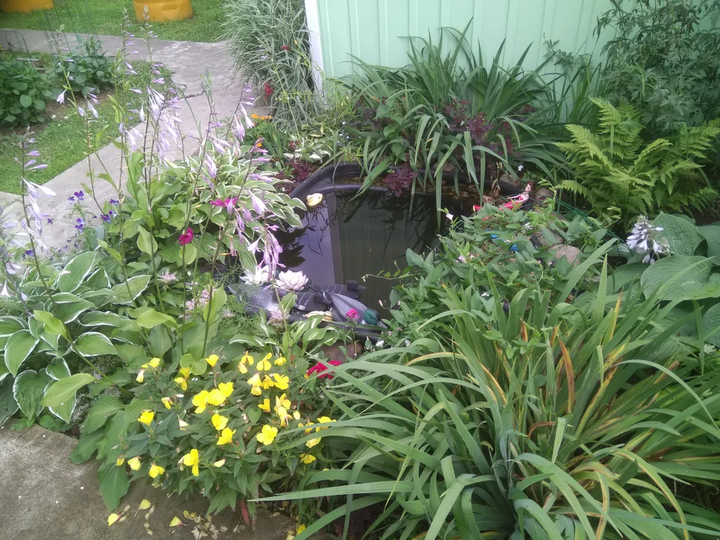 Квартира Комфорт — Лодейное Поле