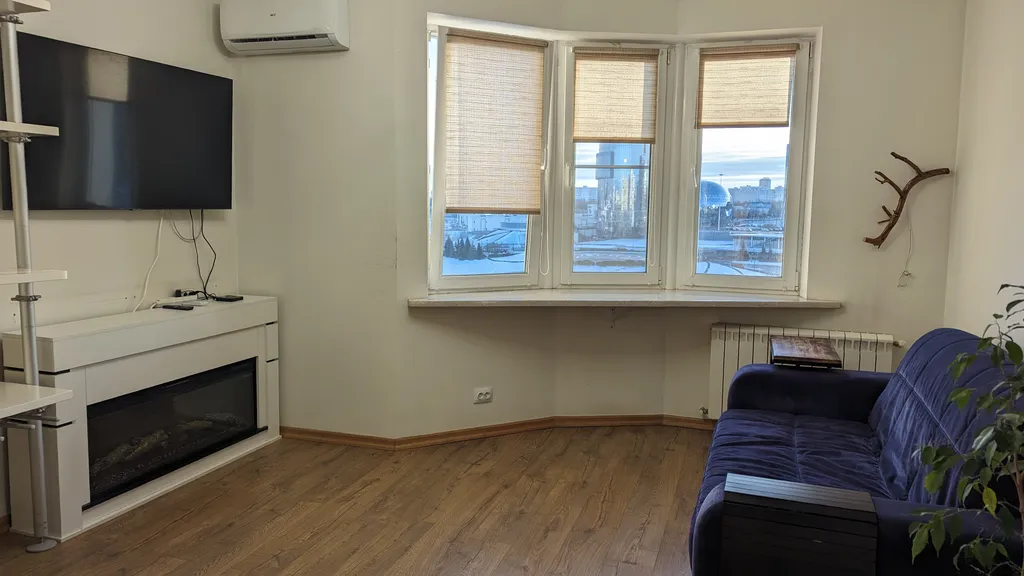 Студия с камином, деревом и видом на реку