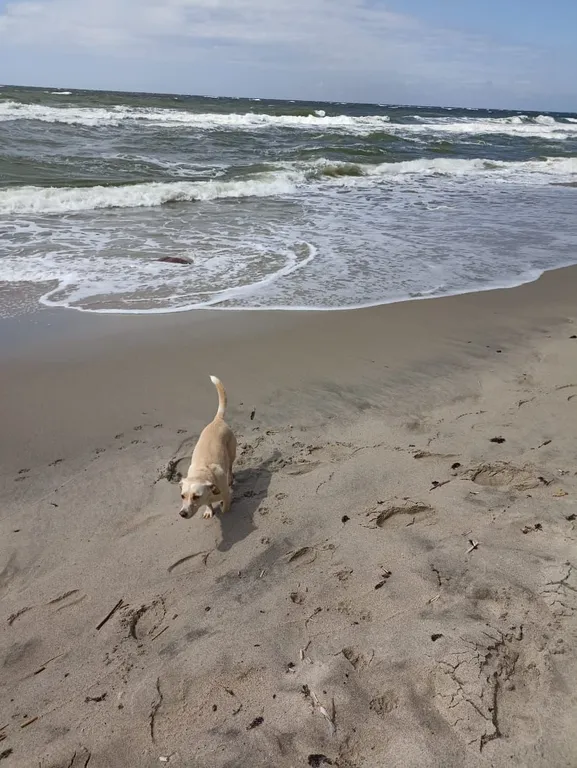 Уютный дом у бескрайних пляжей