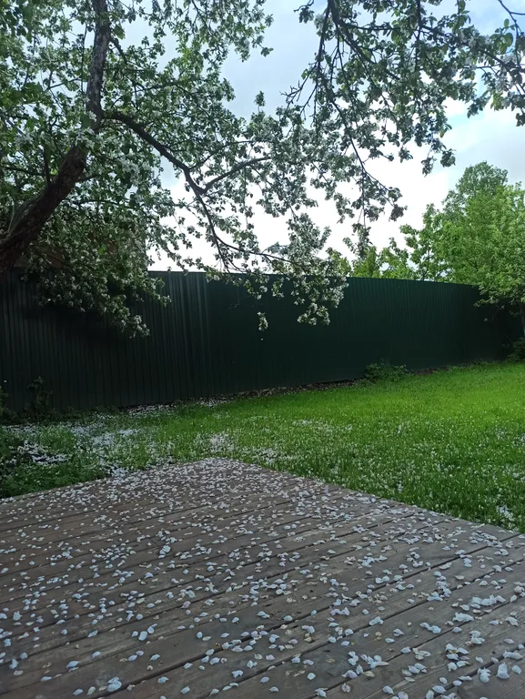 Уютный бревенчатый дом Life veranda на берегу пруда с баней на дровах