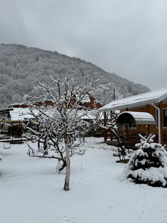 Номер с видом на горы Релакс