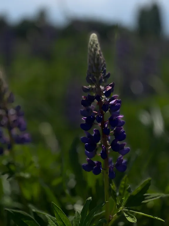 Уникальный дом на Святой Земле