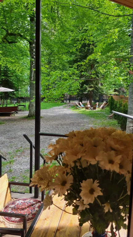 Коттедж Коттедж Шале среди высоких елей и сосен — Архыз