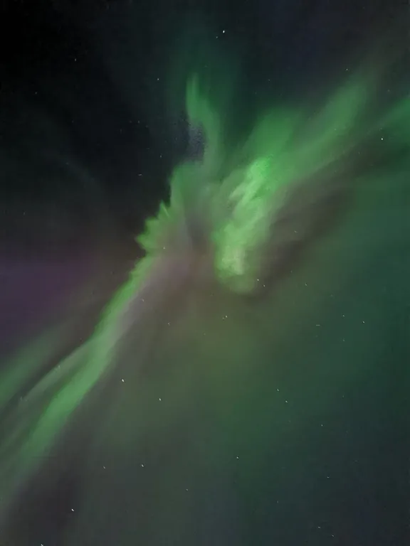 Современный дом в сосновом лесу