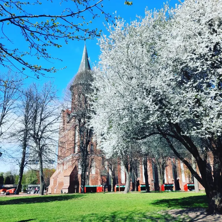 Квартира Квартира Apartments HappY KingS — Калининград