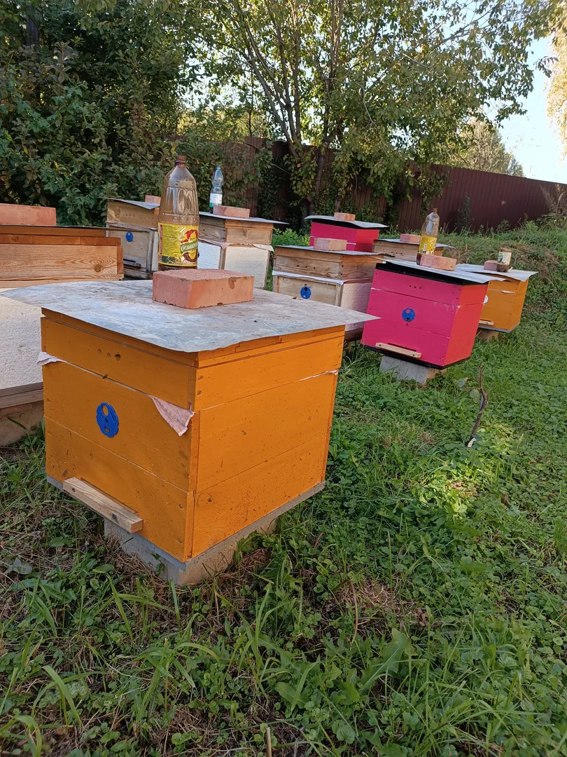 Вид на пасеку из спален 1,2,3 Вид на пасеку из спален 1,2,3