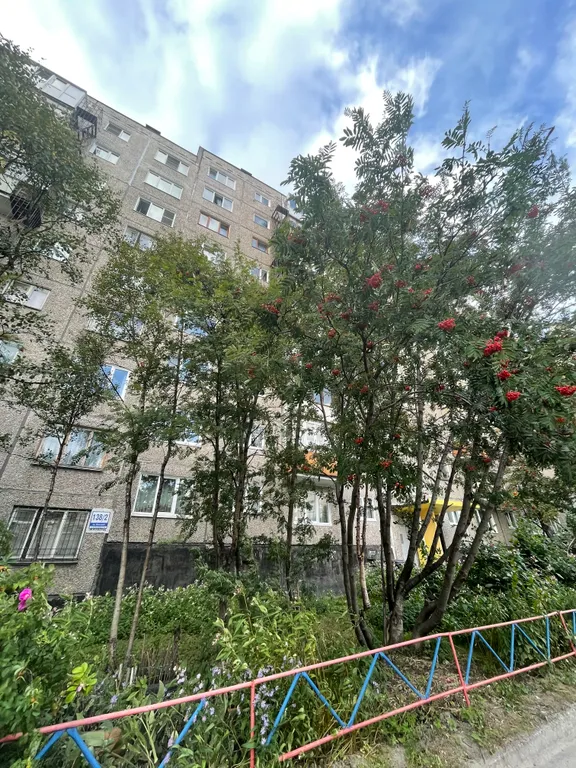 1-й комнатный апартамент