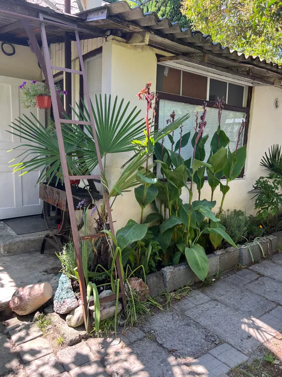 Коттедж Гостевой дом — Сочи