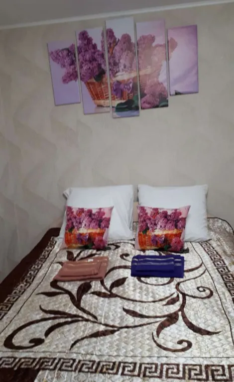 Уютная полуторка в центре