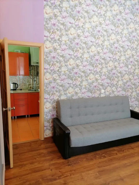 Уютная квартира у Спасской башни Коломенского кремля