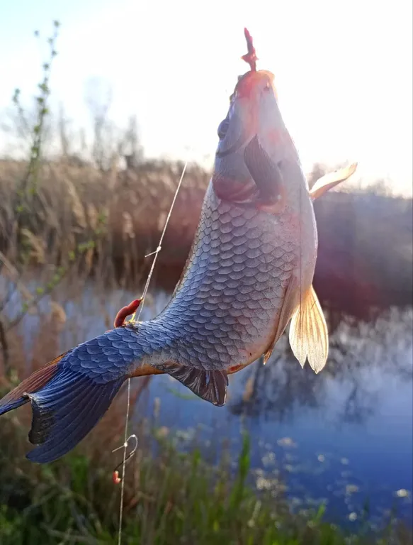 Коттедж Коттедж Отдых на Азовском море — Прорвенский