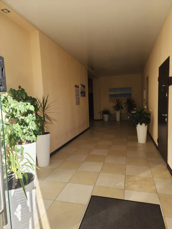 Квартира Уютные апартаменты в Олимпийском парке — Сириус