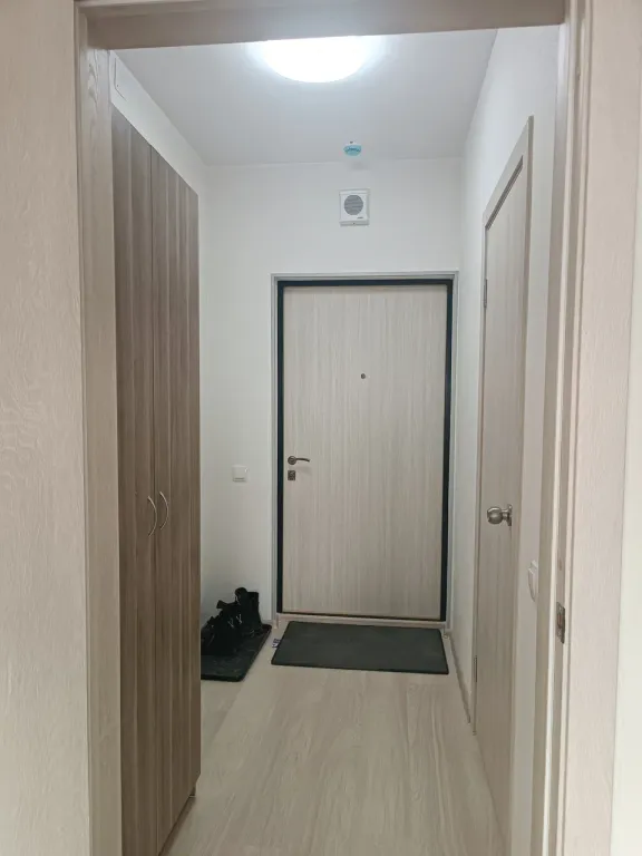 Уютная студия в лесу